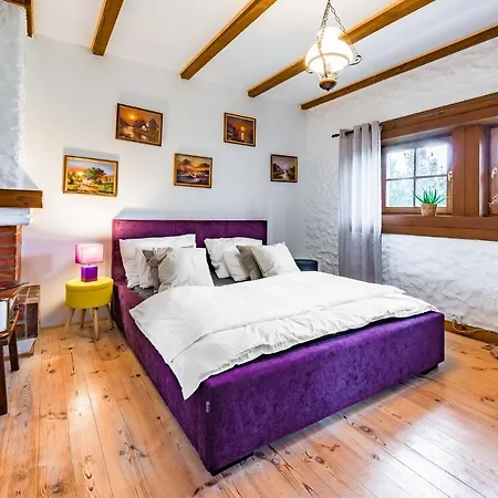 Penzion Dworek Wiktorowo Budki Petrykowskie